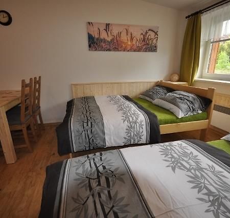 Studio Apartments Lipno 22, 24 Lipno nad Vltavou Pokoj fotografie