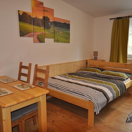 Studio Apartments Lipno 22, 24 Lipno nad Vltavou Pokoj fotografie