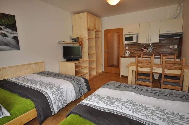 Studio Apartments Lipno 22, 24 Lipno nad Vltavou Pokoj fotografie