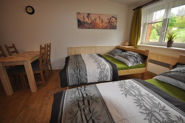 Studio Apartments Lipno 22, 24 Lipno nad Vltavou Pokoj fotografie