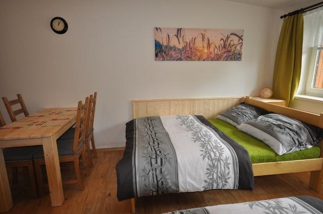 Studio Apartments Lipno 22, 24 Lipno nad Vltavou Pokoj fotografie