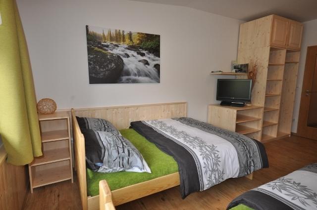 Studio Apartments Lipno 22, 24 Lipno nad Vltavou Pokoj fotografie