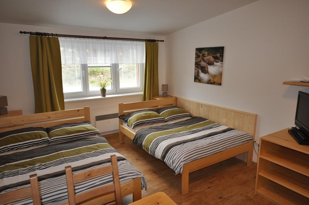Studio Apartments Lipno 22, 24 Lipno nad Vltavou Pokoj fotografie