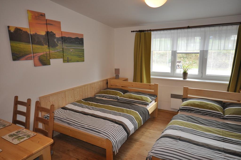 Studio Apartments Lipno 22, 24 Lipno nad Vltavou Pokoj fotografie